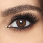 Freshlook Brown Contact Lenses